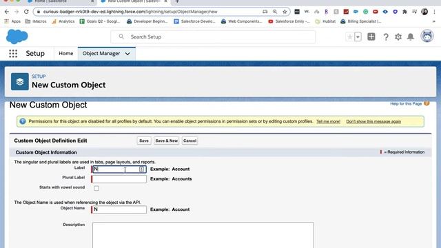 HOW TO CREATE A NEW CUSTOM OBJECT IN SALESFORCE (2022) смотреть онлайн