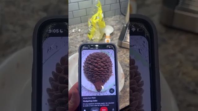 Сделали торт для гостей.
Когда гости надоедят, можно просто сказать:
- Дорогая, выноси ёжика ?