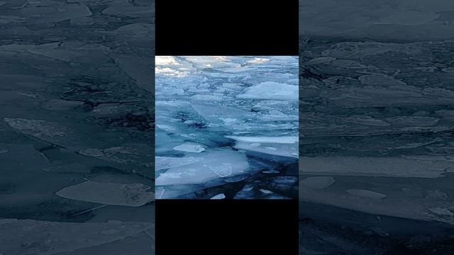 20231221_142842.mp4 смотреть онлайн