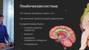 Нейробиология поведения. Лекция 1. Любопытство