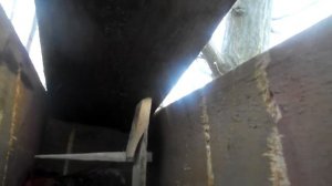 Живоловушка на куницу