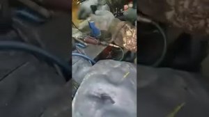 Вулканизация грузовой камеры