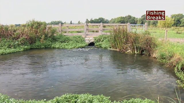 Barton Court - River Kennet смотреть онлайн