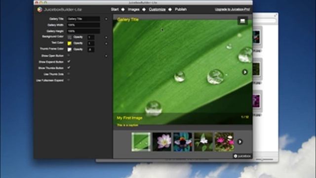 How to Build a Web Image Gallery in 5 Minutes смотреть онлайн