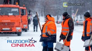 Бехтарин таронаи гариби - Додари мухочир