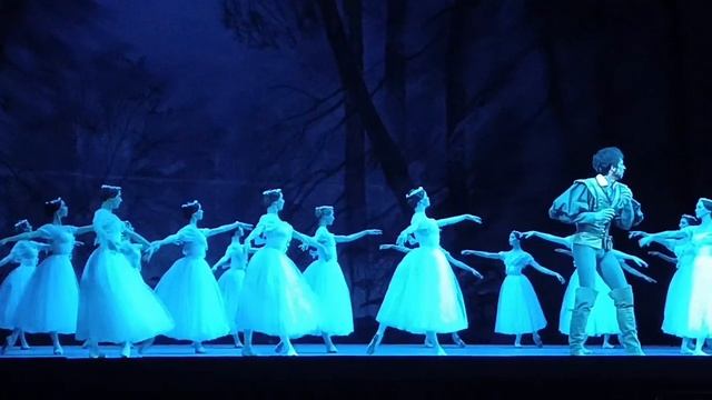 Жизель. Ева Сергеенкова, Клим Ефимов(дебют). Большой театр.15.10.2023 смотреть онлайн