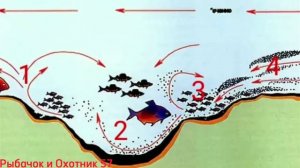 Почему рыба стоит на бровке?