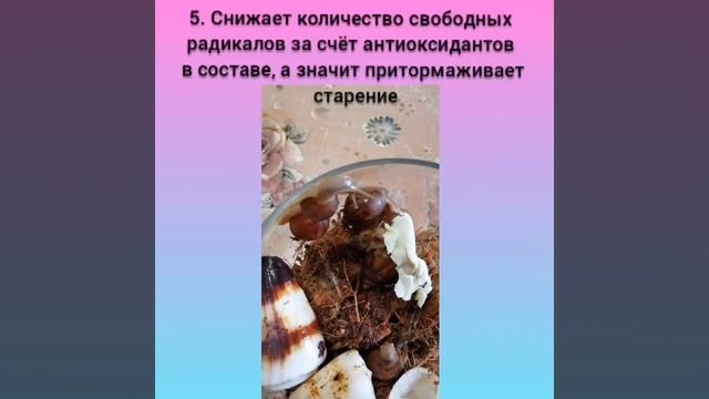 Улитки Ахатины в косметологии смотреть онлайн