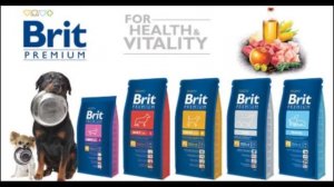 СУХОЙ КОРМ ДЛЯ СОБАК. КАКОЙ ЛУЧШЕ ВЫБРАТЬ?