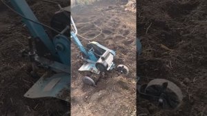 Электрокультиватор Hyundai T2000E почти терминатор...спустя 3 года