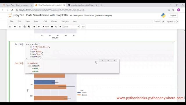 #25 Data Visualization || Categorical Data || Seaborn || Plotly || Libraries смотреть онлайн