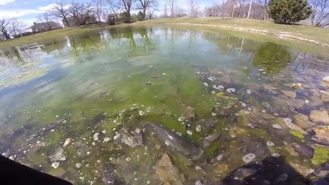 Berkley Gulp sinking minnow смотреть онлайн