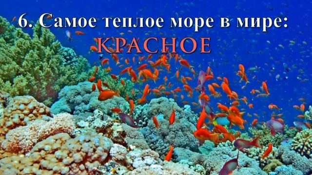 Моря мира смотреть онлайн