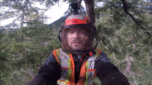 Tree Topping at 200+ feet. Cool heads prevail ! смотреть онлайн