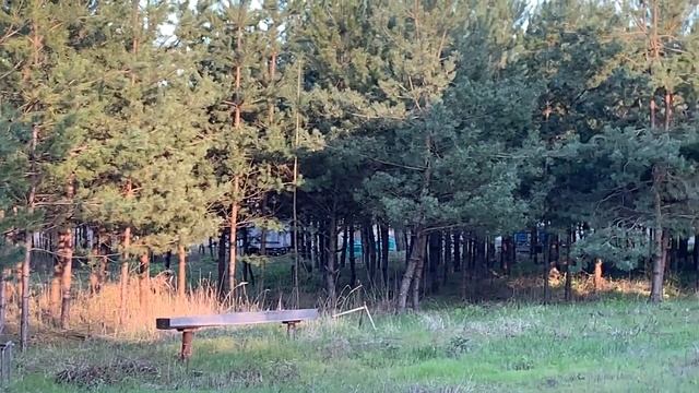 ДАЛЬНОСТЬ И ВЫСОТА ПОЛЁТА МЕДОНОСНЫХ ПЧЁЛ. смотреть онлайн