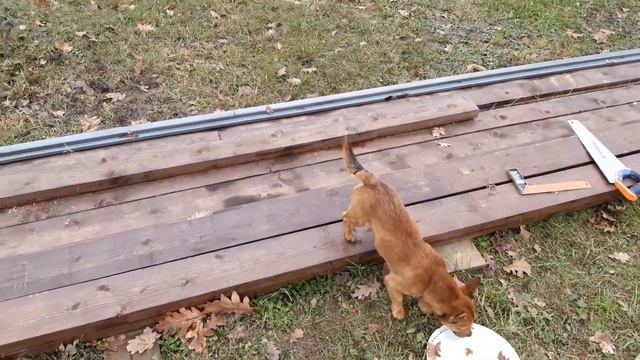 Облагораживание вагончика, козырёк над входом.