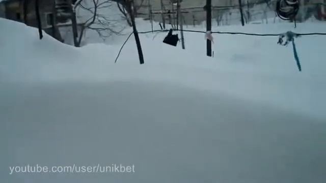 Самое прикольное видео Кот снегоход_(new)