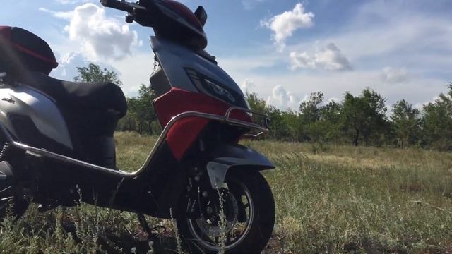 Грибы Вешенки в посадках. Где растут и как выглядят. смотреть онлайн