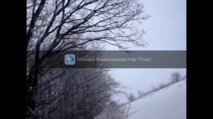 разборный мини снегоход пегас