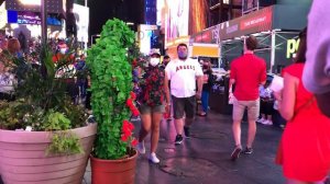 веселое дерево на Таймс Сквер