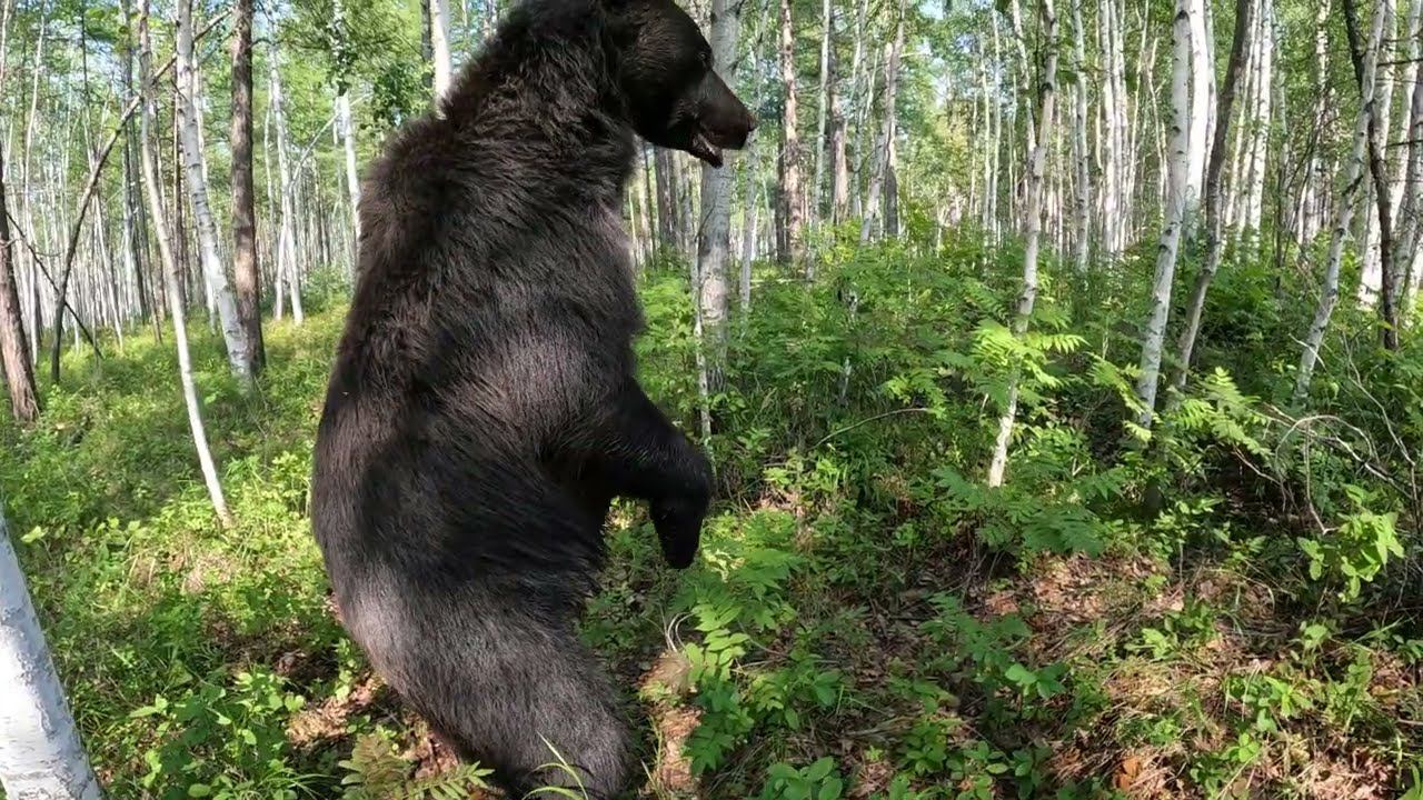 Забыл зарядить камеру. смотреть онлайн