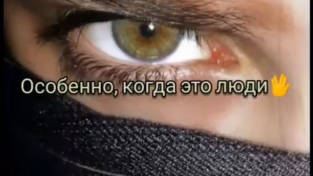 Будьте Людьми Крысами вы всегда успеете быть🐀🤬 смотреть онлайн