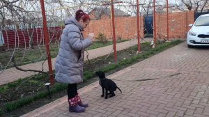 #Ейск?с.Александровка. Малыш Грей ?  Оля и Боня ?⬛  Дружное семейство!