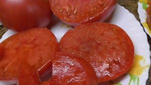 Помидоры весом до 1 кг! Такие плоды может дать вам сорт томата Розовая магия. Идеально для салатов!