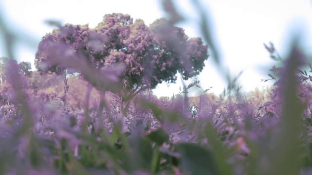 Фильм ужасов смотреть онлайн