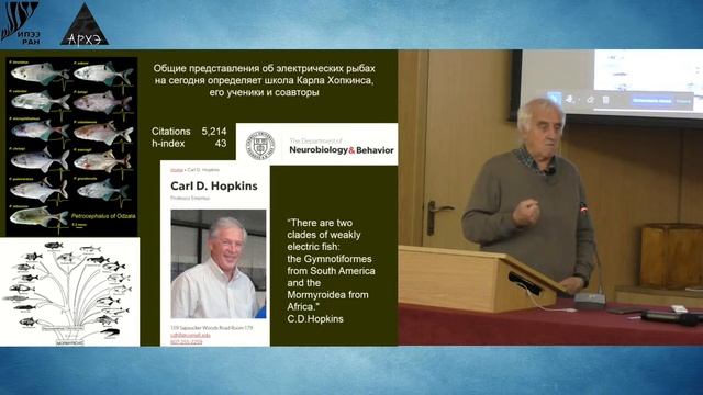 Семинар «Исследования электрических рыб: фундаментальные проблемы и практическая значимость» смотреть онлайн