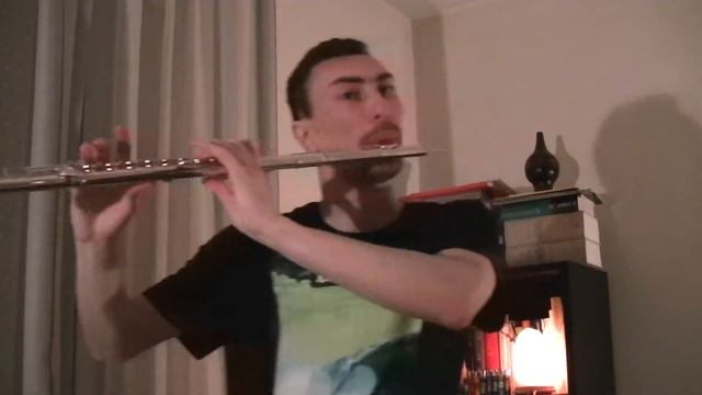 World of Warcraft - Lion's Pride Inn - Flute Cover смотреть онлайн
