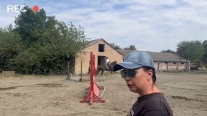 КОНОБЛОГ (!) наш конный влог! будни на конюшне, или неудачная конкурная тренировка /конный спорт