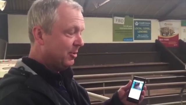 Balla mart online auction смотреть онлайн