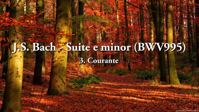 J.S.Bach - Suite e minor (BWV996) - Courante, Daniel Rubin - Guitar смотреть онлайн