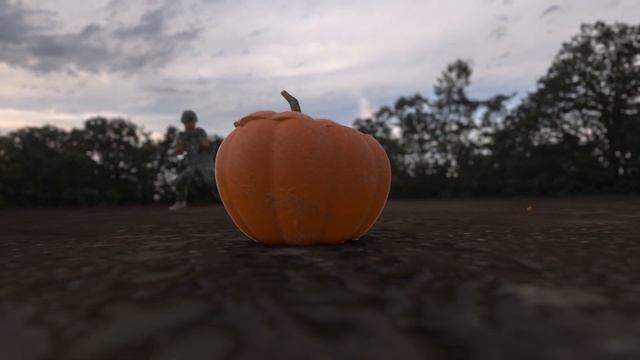 Pumpkins Target Practice M1014 Tactical Shotgun смотреть онлайн