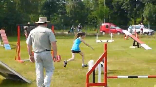 Junior Agility Papillon смотреть онлайн