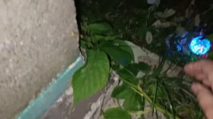 Летающий шар управляется жестами!!!Распаковка игрушки