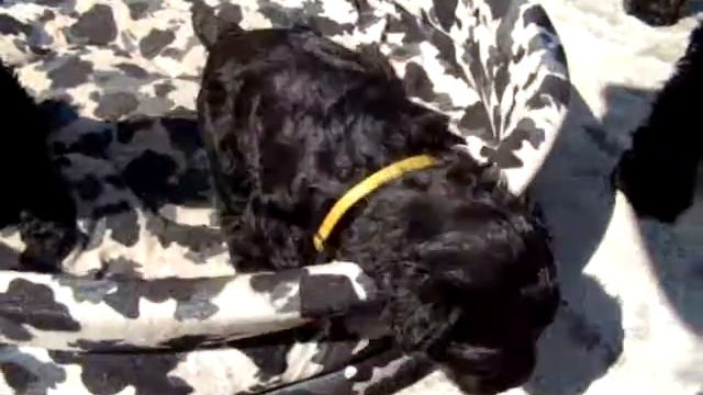 выход детей во двор