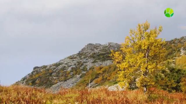 Заповедники России Заповедник Басеги смотреть онлайн