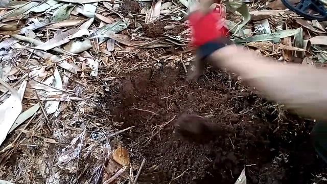 Setiap Langkah Target - Metal Detector From Java смотреть онлайн