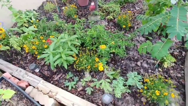 Butterfly Walking Paths Work