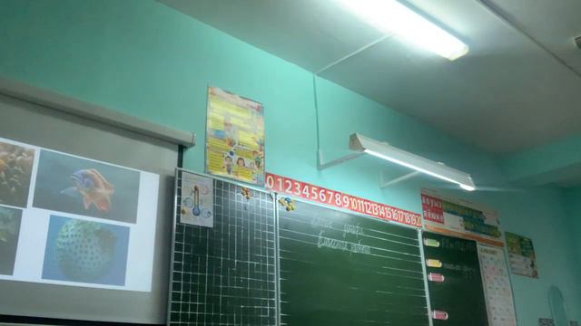 Окружающий мир 3 класс. «разнообразия мира животных» смотреть онлайн