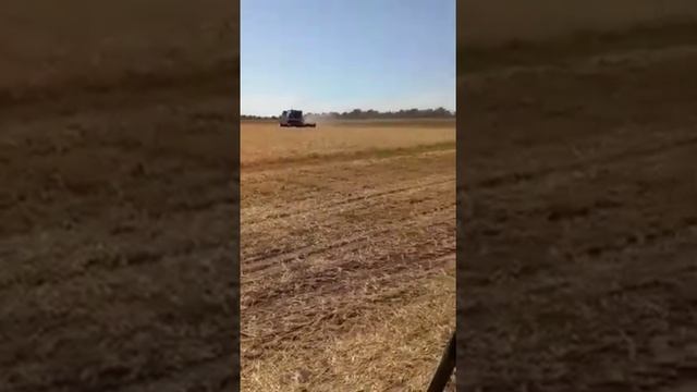 Комбайн зерноуборочный Енисей-950 экспресс-обзор от Сергея Баранник смотреть онлайн