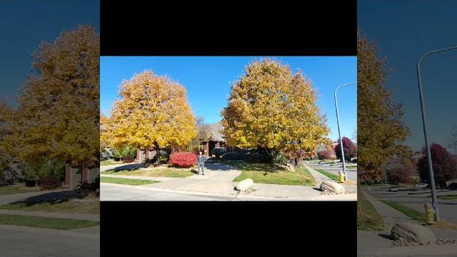 Нежность (Timur Omaha)