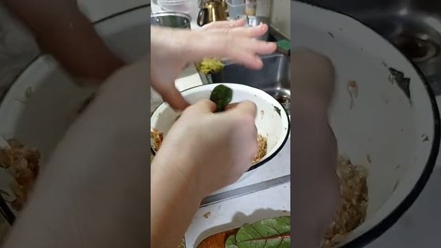 Дольма из свекольных листьев смотреть онлайн