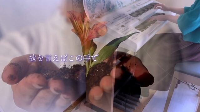 【 花になって - Be a flower｜緑黄色社会 】エレクトーンで弾いてみた｜ヒール&トゥ奏法に挑戦‼︎ смотреть онлайн