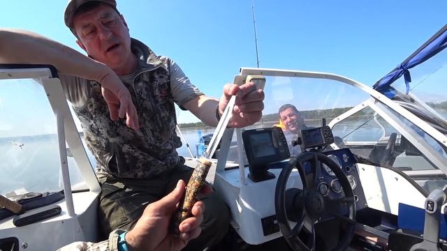 Енисейские хроники - ЩУКА 14 кг и другие монстры. Трофейная рыбалка смотреть онлайн