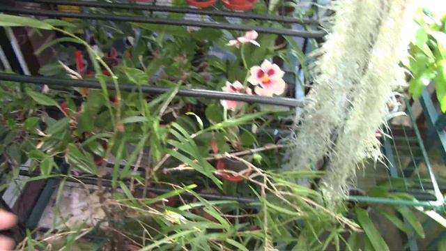 Light Games And Some More Winter Changes смотреть онлайн