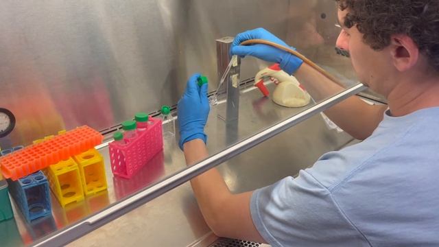 Splitting Cells: Cell Culture - Updated - CBEC Cell Block смотреть онлайн