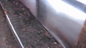 Как заработать на зеленом луке. Часть 2 - выращивание в теплице.